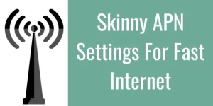 Skinny Mobile APN Settings